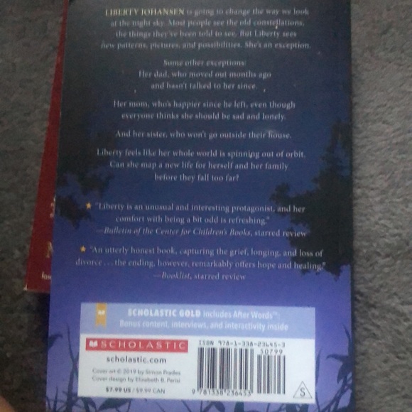 The year we fell from space book mbr - Picture 2 of 4